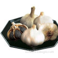 Black Garlic